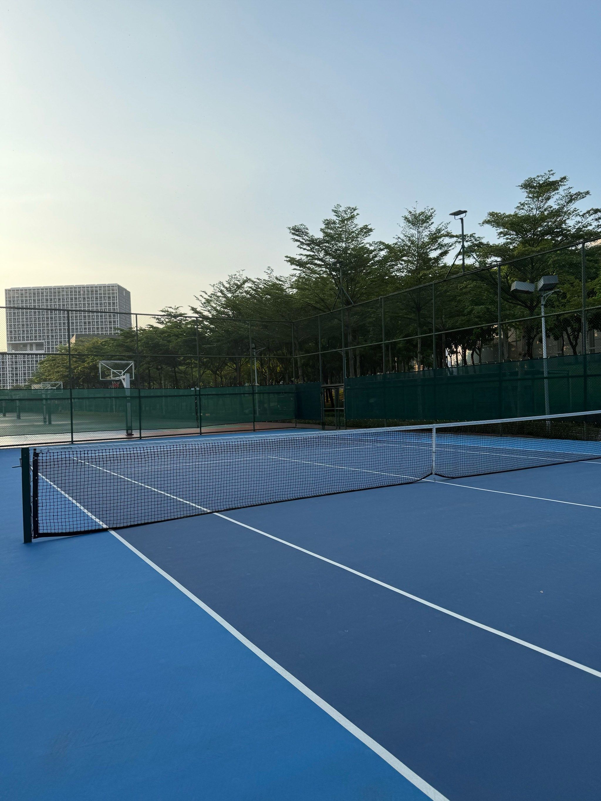 运动的全新 运动的全新